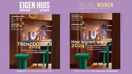 Article Eigen huis & interieur publication